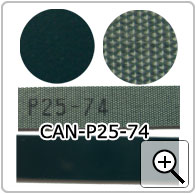 CAN-P25-74